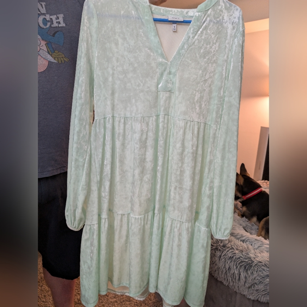 Light Green Long Sleeve Dress